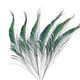 Natural Peacock Feathers - (Pack of 10)